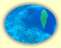 IMG_2007_05_27 14_39_44 * 2272 x 1704 * (278KB)